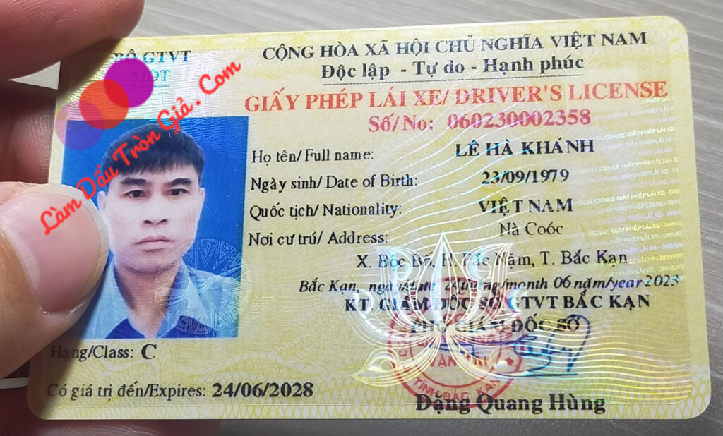 làm bằng lái xe giả