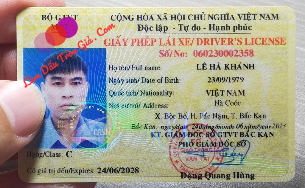 mua bằng lái xe máy